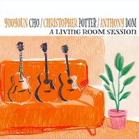 Yooyoun Cho, Christopher Potter & Anthony Dom - A Living Room Session