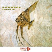 Aerosol - Fossile