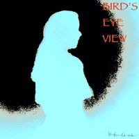 Graham Edmonds - BIRD'S EYE VIEW