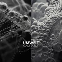 Cam Lasky - UMWELT, Vol. 1