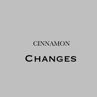 Cinnamon - Changes
