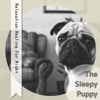 The Sleepy Puppy - Relaxation Healing For Night