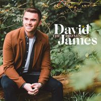 David James - The Promise