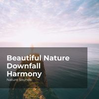 Nature Sounds, Sleep Sounds of Nature, Nature Sounds Nature Music - Beautiful Nature Downfall Harmony