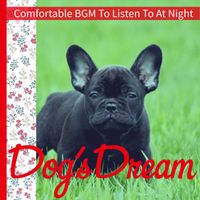 Dog’s Dream - Comfortable BGM To Listen To At Night