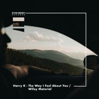 Harry K - The Way I Feel About You / Wifey Material