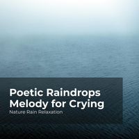 Nature Rain Relaxation, Rain Recorders, Rainfall - Poetic Raindrops Melody for Crying