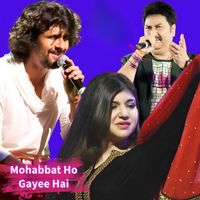Aadesh Shrivastava - Mohabbat Ho Gayee Hai