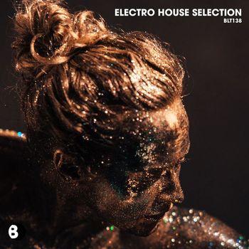 Various Artists - Electro House Selection