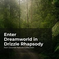 Rain Sounds Nature Collection, ASMR Rain Sounds, Sleepy Rain - Enter Dreamworld in Drizzle Rhapsody