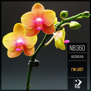 Moonrain - I'm Lost