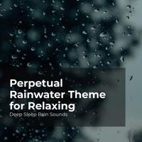 Deep Sleep Rain Sounds, Rain Meditations, Rain Sounds Collection - Perpetual Rainwater Theme for Relaxing