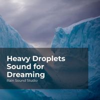 Rain Sound Studio, Meditation Rain Sounds, The Rain Library - Heavy Droplets Sound for Dreaming