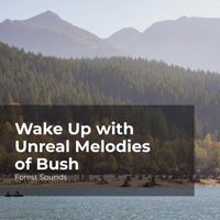 Forest Sounds, Ambient Forest, Rainforest Sounds - Wake Up with Unreal Melodies of Bush