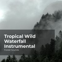 Forest Sounds, Ambient Forest, Rainforest Sounds - Tropical Wild Waterfall Instrumental