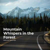 Nature Sounds, Sleep Sounds of Nature, Nature Sounds Nature Music - Mountain Whispers in the Forest