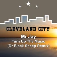 Mr Jay - Turn up the Music (Dr Black Sheep Remix)