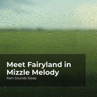 Rain Sounds Sleep, Rain Spa, Rain Sounds for Relaxation - Meet Fairyland in Mizzle Melody
