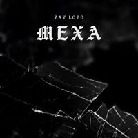 Zay Lobo, LFH PROJECT - Mexa