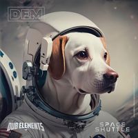 Dub Elements - Space Shuttle