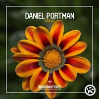 Daniel Portman - Pulse