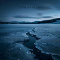 Particle Guidance - Lake