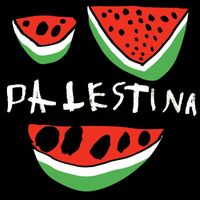 Webster - Palestina