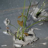 Clasps - Take Charge And Move In