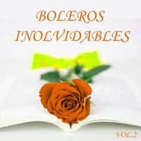 Varios Artistas - Boleros Inolvidables Vol. 2
