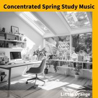 Little Orange - Concentrated Spring Study Music
