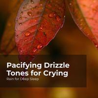 Rain for Deep Sleep, Ambient Rain, Gentle Rain Makers - Pacifying Drizzle Tones for Crying