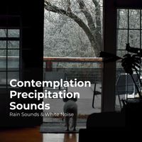 Rain Sounds & White Noise, Raindrops Sleep, Sleep Rain - Contemplation Precipitation Sounds