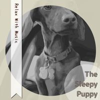 The Sleepy Puppy - Relax With Music