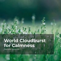 Nature Sounds, Sleep Sounds of Nature, Nature Sounds Nature Music - World Cloudburst for Calmness