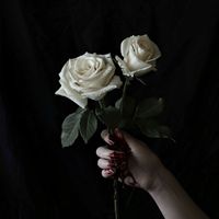 Amarante - Roses