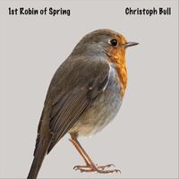 Christoph Bull - 1st Robin of Spring