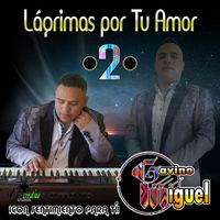 Gavino Miguel - Lagrimas por Tu Amor, Vol. 2