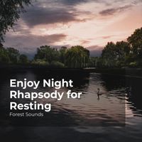 Forest Sounds, Ambient Forest, Rainforest Sounds - Enjoy Night Rhapsody for Resting