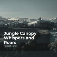 Forest Sounds, Ambient Forest, Rainforest Sounds - Jungle Canopy Whispers and Roars
