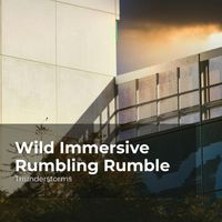 Thunderstorms, Sounds Of Rain & Thunder Storms, Rain Thunderstorms - Wild Immersive Rumbling Rumble