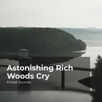 Forest Sounds, Ambient Forest, Rainforest Sounds - Astonishing Rich Woods Cry