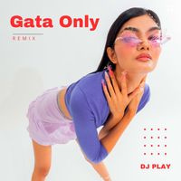 DJ Play - Gata Only (Remix)