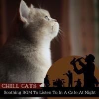 Chill Cats - Soothing BGM To Listen To In A Cafe At Night