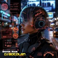 DJ Botolan - Silver Hair