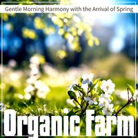 Organic Farm - Gentle Morning Harmony with the Arrival of Spring