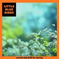 Little Blue Birds - Gentle Nap BGM for Spring