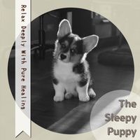 The Sleepy Puppy - Relax Deeply With Pure Healing