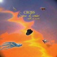 Cross - Sense of Wonder (2013 Remix)