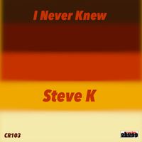 Steve K - I Never Knew
