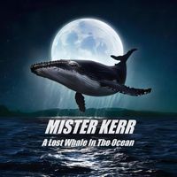 Mister Kerr - A Lost Whale In The Ocean
